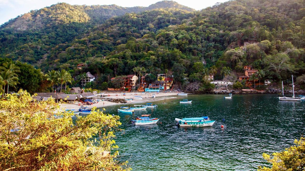 Villa Armonia Luxury Boutique Hotel Puerto Vallarta Exterior photo